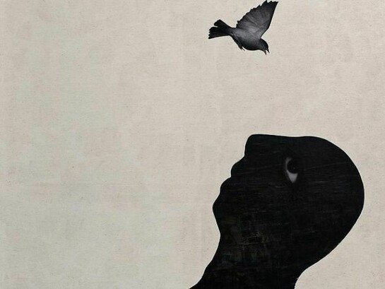 Sadik Alfraji 'Once I Could Fly' 250 x 150 cm, Indian Ink, Charcoal, Gel on Rice, Chinese & Printed Paper on Canvas 2012