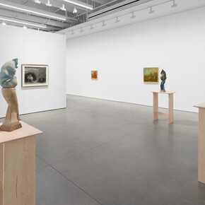 Jared Buckhiester, Continent of misbelief, exhibition view. Courtesy of David Kordansky Gallery