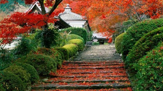 Stairs painted in all the colors. Kyoto