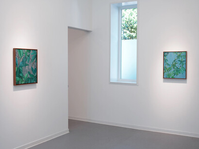 Fidencio Fifield-Perez, The passing of a shadow, exhibition view. Courtesy of Dreamsong Gallery