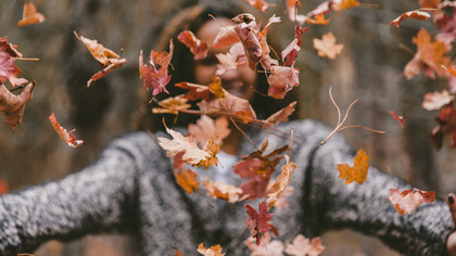 Lessico d’Autunno