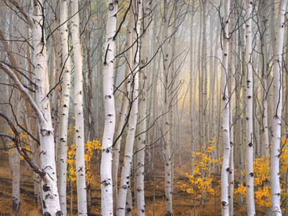 Re-Float the Catherine Couturier Family Post-Hurricane Harvey Benefit. Courtesy of Foto Relevance