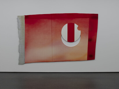 Mario Sala, Collection in focus, exhibition view. Courtesy of Aargauer Kunsthaus