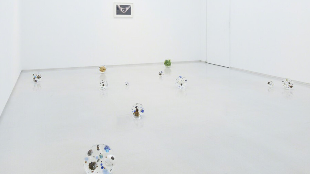 Satoshi Hirose, Exhibition view. Courtesy of Tomio Koyama Gallery