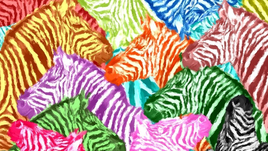 Variaciones en zebras