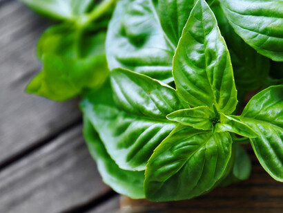 L’olio essenziale di Basilico aiuta a gestire le proprie energie naturali senza affaticarsi