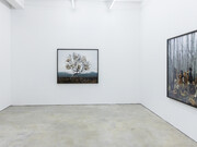 Riitta Päiväläinen, Phantasma, exhibition view. Courtesy of Persons Projects