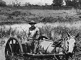 Carreta atravesando un pantano, Cuba