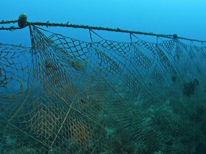 Illegal fishing