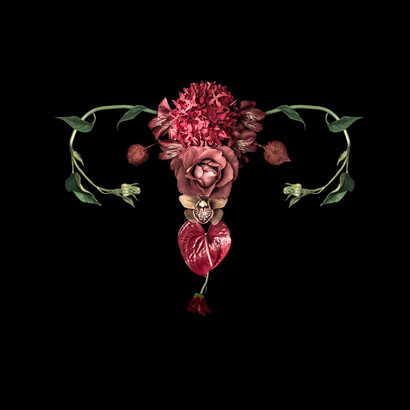 Catharina Suleiman, obra de la serie Útero