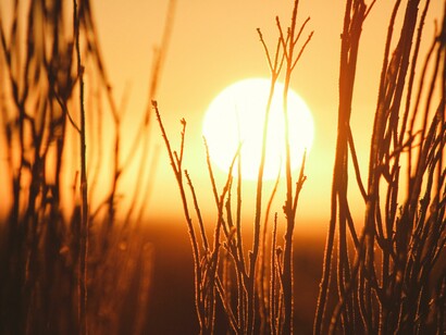 Sol