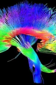 Main goal of the Giga Society is to further the establishment of mental ability test norms in the very high range