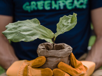 Man from Greenpeace holding a plant