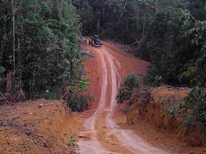La foresta dei Kawahiva viene distrutta da taglialegna, allevatori, speculatori e minatori. © FUNAI
