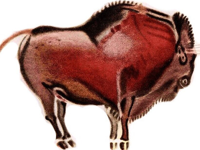 Cave paintings from Altamira, Spain, depicting a bison or a wild animal