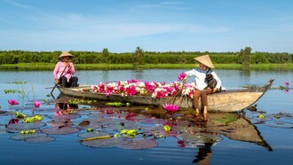 A traditional boat brimming with freshly gathered water lilies, symbolising the simple livelihood sustained by Vietnam’s rivers and wetlands