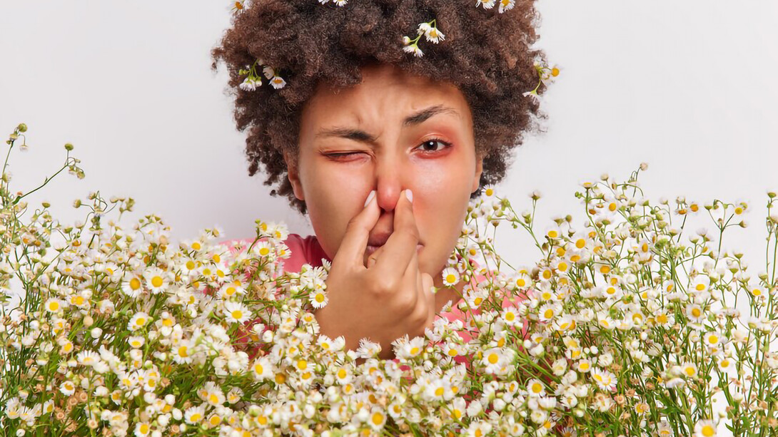 A woman surrounded by daisies, experiencing an allergic reaction while smelling the scent of the flowers
