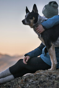 Un ragazzo e il suo amico a quattro zampe si godono il tramonto da un'altura
