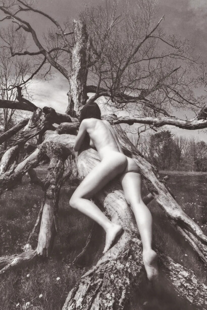 Lily Burgess, Beginning of the birth pangs. Courtesy of Palo Gallery