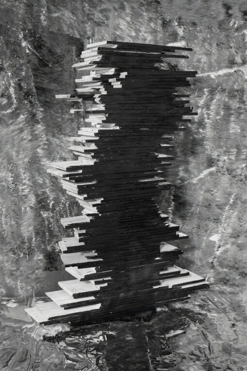 Nico Krijno. Courtesy of Elizabeth Houston Gallery