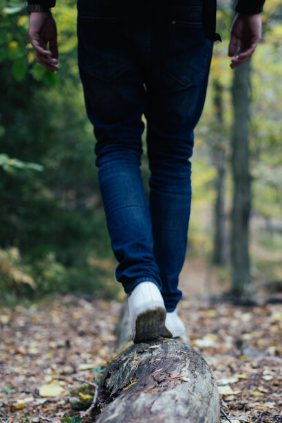 Meditazione nel bosco