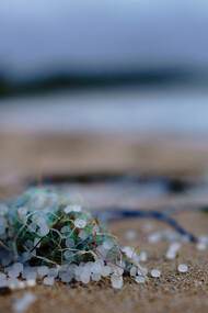 Resíduos plásticos na areia da praia.
Estudos em animais marinhos mostraram que os MPs podem alterar a bioenergética celular