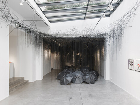 Black Rain. Courtesy of Galerie Daniel Templon