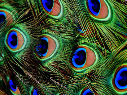 The problem of categories is not examined by philosophers as often as it ought to be