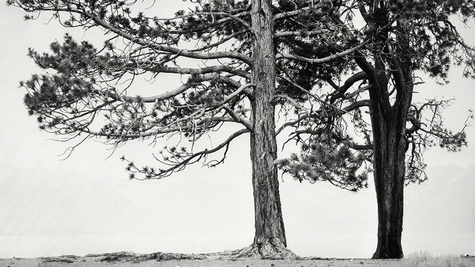 Ian Ruhter. Courtesy of Art Ventures Gallery