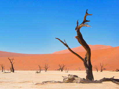 Environmental damage: how are we able to deter behaviour causing irreversible damage to the biosphere?