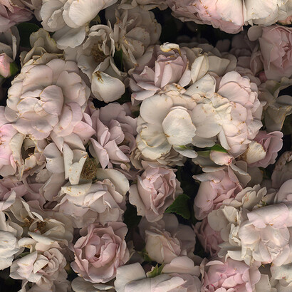 M. Nardone 2016 - Terril 4 - 117x85 cm - papier mat contrecollé sur aluminium - éd. 8 copia