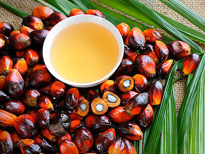 Vibrant, ripe oil palm fruits captured in a detailed close-up
