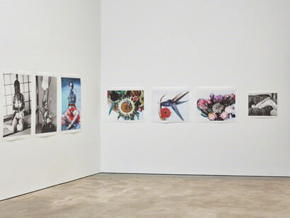 Hana Jinsei. Courtesy of Over the Influence 