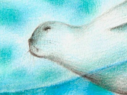 La donna foca, illustrazione di Alessandra Murgia