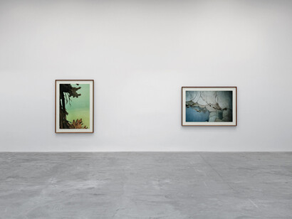 Thomas Demand, exhibition view. Courtesy of Matthew Marks Gallery