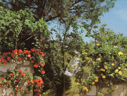 Villa Zeri