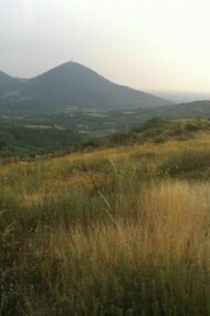 Colli Euganei. Versanti aridi di prateria