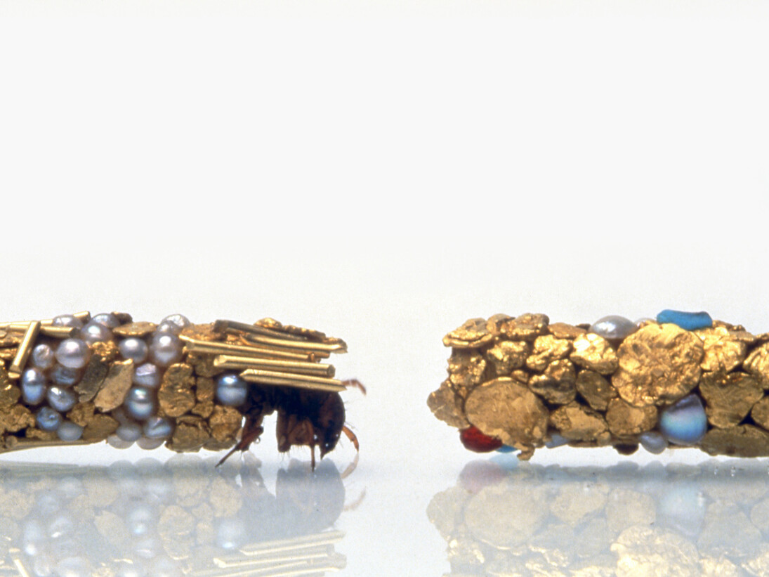 Hubert Duprat, Trichoptères, 1993, Larves, or, perles, pierres précieuses, paraloide. Vitrine : 56 x 78 cm, Aquarium : 6.4 x 200 x 5.7 cm, Centre national des arts plastiques, FNAC 93548 © Adagp, Paris / CNAP / photo : Château d’Oiron
