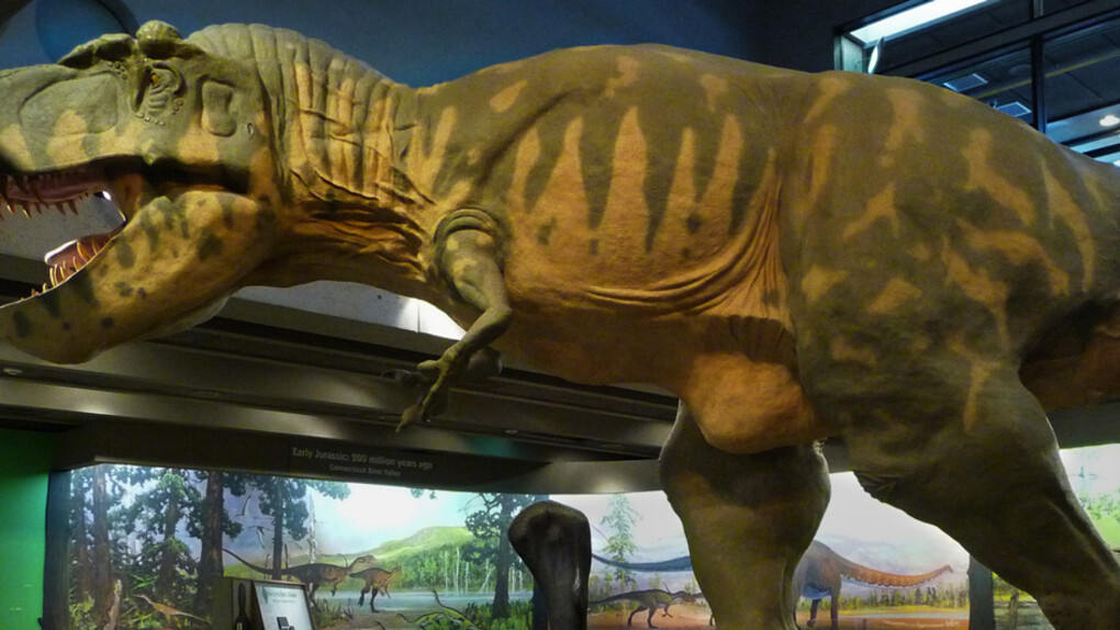 Dinosaurs: Modeling the Mesozoic. Courtesy of Museum of Science 