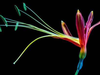 How colorful the world around us is