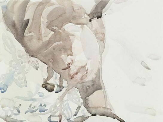 Elizabeth Peyton, “Klara”, 2010, Watercolor on paper, 12 1/4 x 16 inches, 31 x 40.5 cm