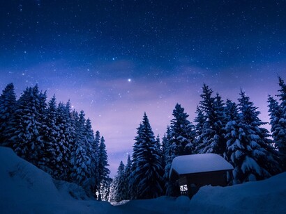 Casa en medio del bosque nevado bajo la luz de las estrellas