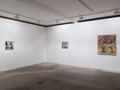 William Daniels, 2014, Vilma Gold, London, Installation View, Courtesy Vilma Gold, London