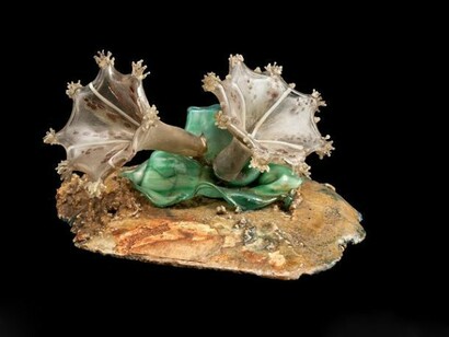 Rudolph and Leopold Blaschka, Lucernaria auricular, glass model works of sea urchins / creatures, James Turner © Amgueddfa Cymru - National Museum Wales 2013