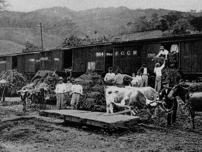 El desarrollo del ferrocarril y de la industria del banano en Costa Rica