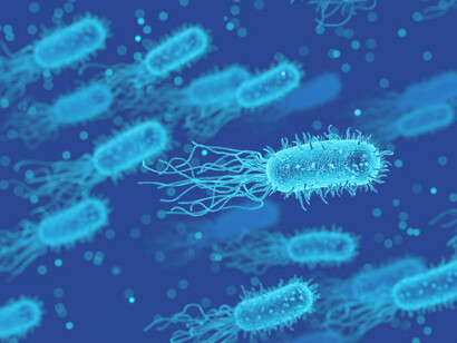 Bacteria, medical biology illustration