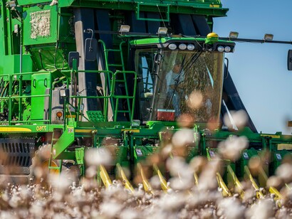 Plantação de algodão. Nos últimos anos, a moda tem sido alvo de críticas intensas devido ao seu impacto ambiental. A indústria da moda é responsável por cerca de 10% das emissões globais de carbono, e grande parte desse impacto vem do uso de matérias-primas não renováveis, processos de produção intensivos em água e, principalmente, do descarte massivo de roupas que não são recicladas



