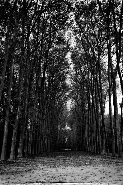 Versailles Gardens, France, 1994. Credit: Patrick Demarchelier, A. Galerie   
