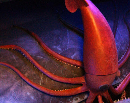 Milstein Hall of Ocean Life. Courtesy of American Museum of Natural History