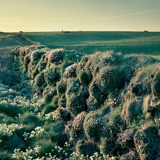 Joakim Eskildsen. Courtesy of Polka Galerie